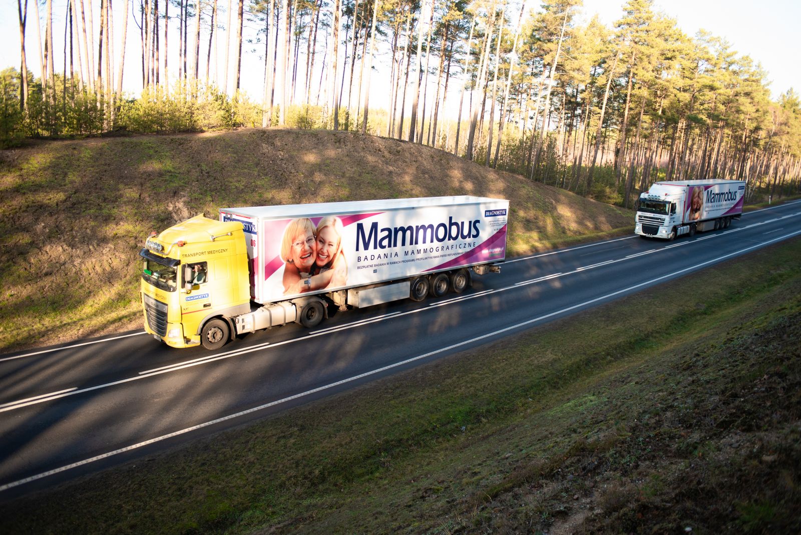 Mammobus